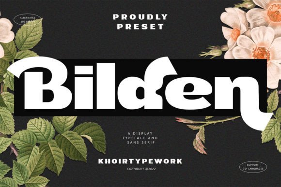 Bilden: A Bold Display Font for Modern Web Design