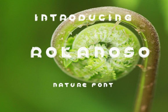 Rokanoso Display Font for Web Design