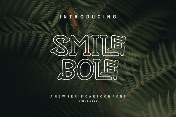 Smile Bole: A Modern Display Font for Web Design