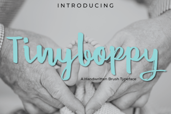 Tinyboppy: A Friendly Display Font for Small Business Branding